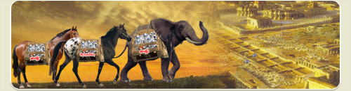 Andhra Rayalaseema Diamond Mines