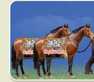 Andhra Rayalaseema Diamond Mines