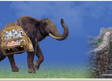 Andhra Rayalaseema Diamond Mines