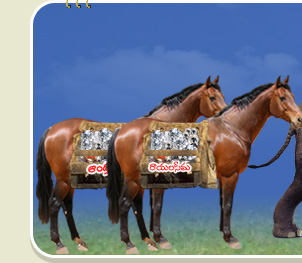 Andhra Rayalaseema Diamond Mines