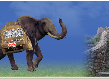 Andhra Rayalaseema Diamond Mines