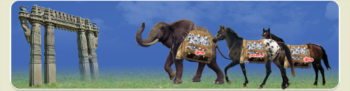 Andhra Rayalaseema Diamond Mines